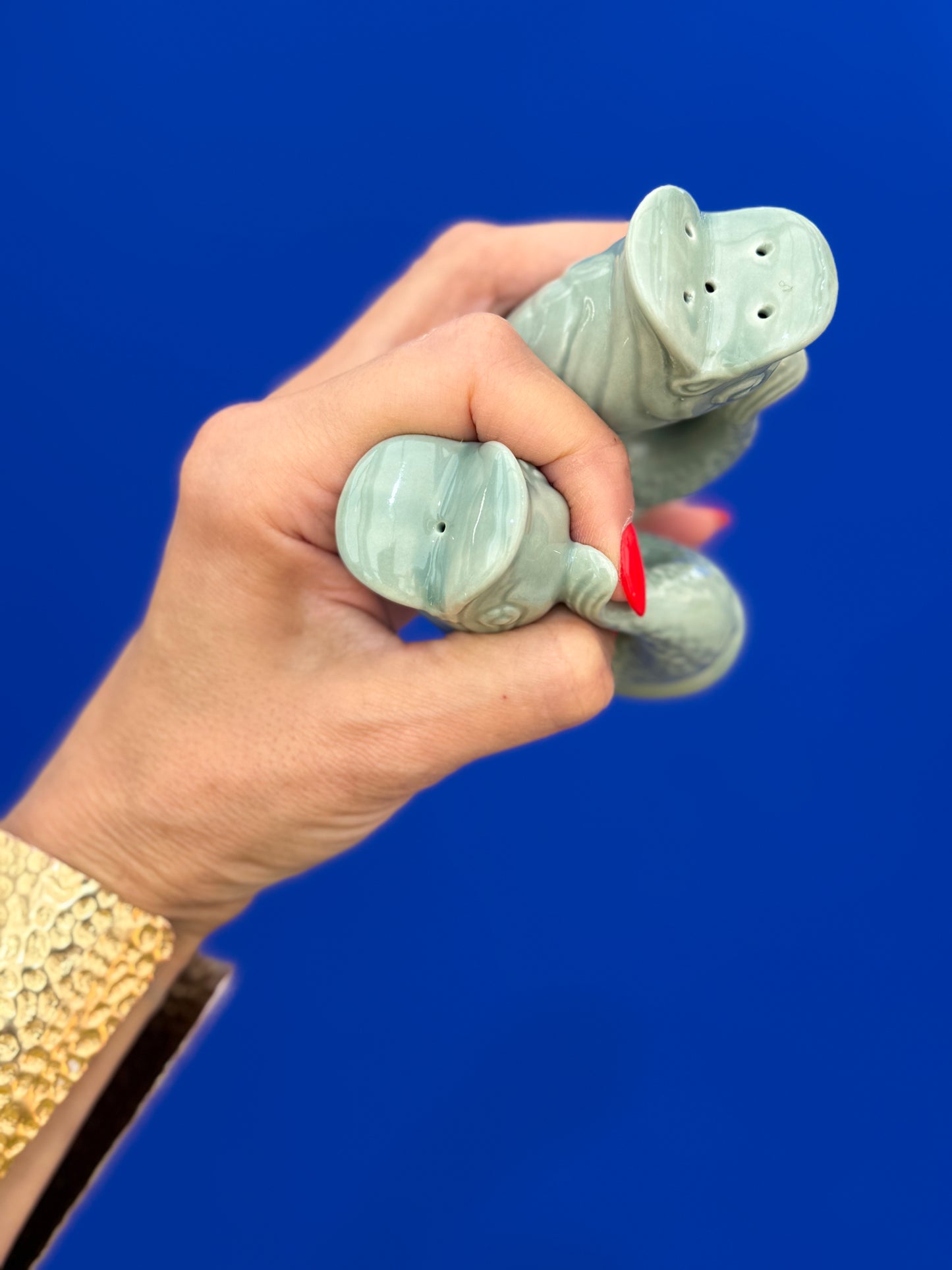 Salz und Pfefferstreuer | Sage